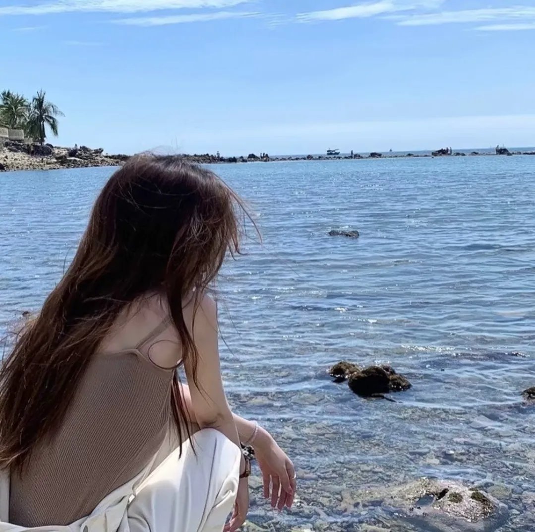 龙虎智多星